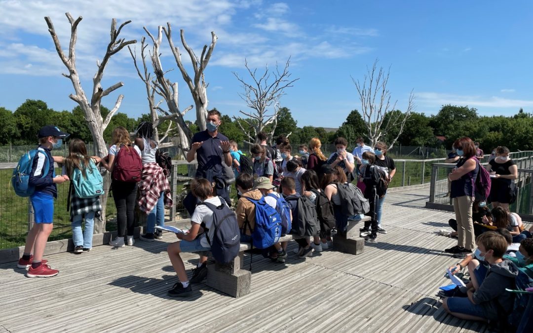 Sortie au Légendia Parc