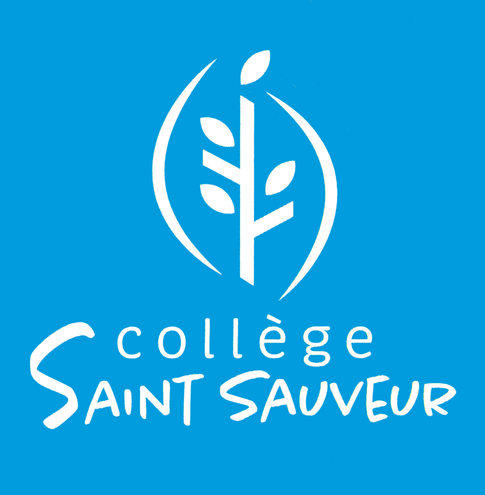 4ème – Gagner en autonomie  Collège St Sauveur